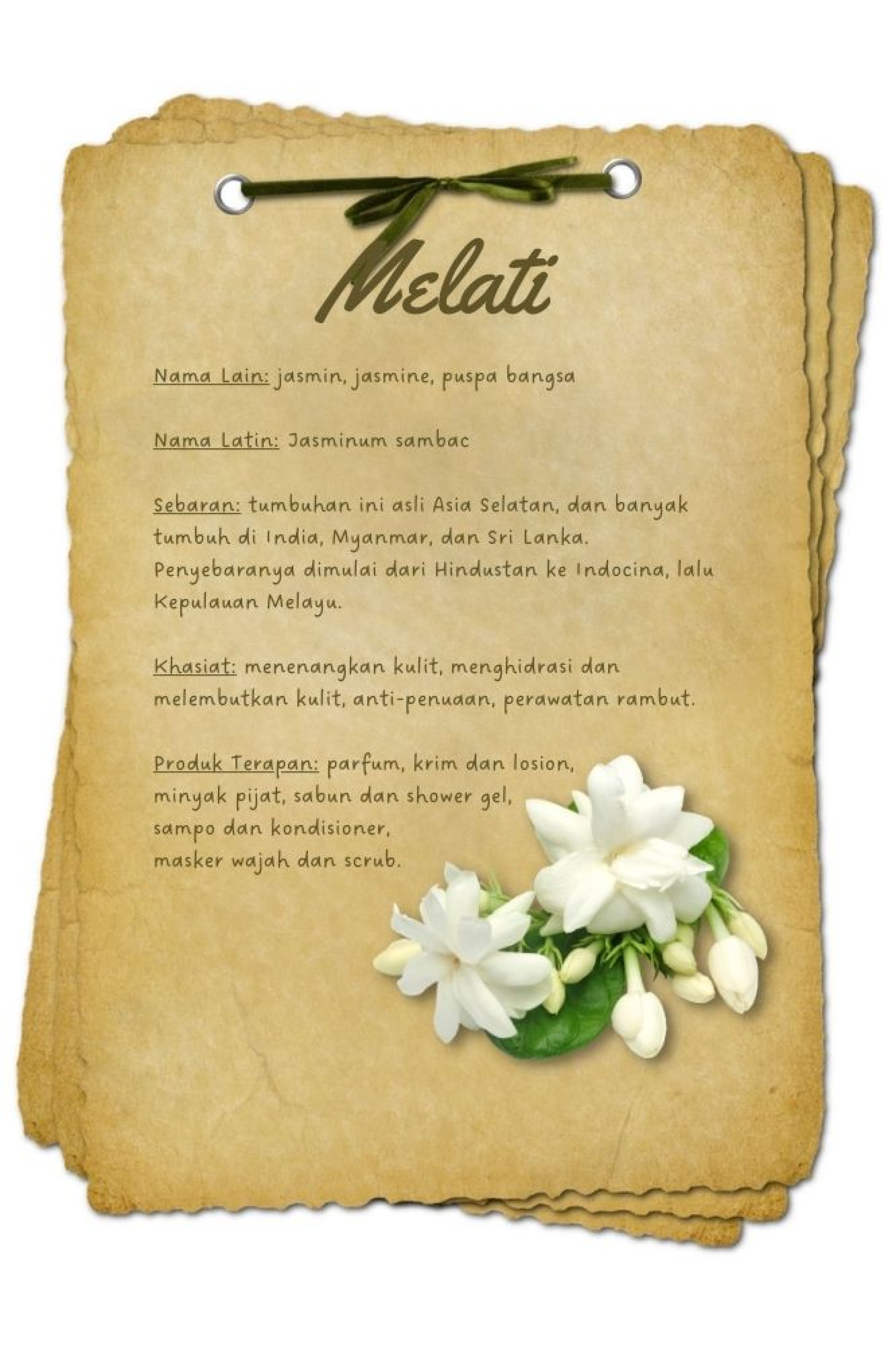 BAHAN AKTIF melati - Beautyversity.jpg